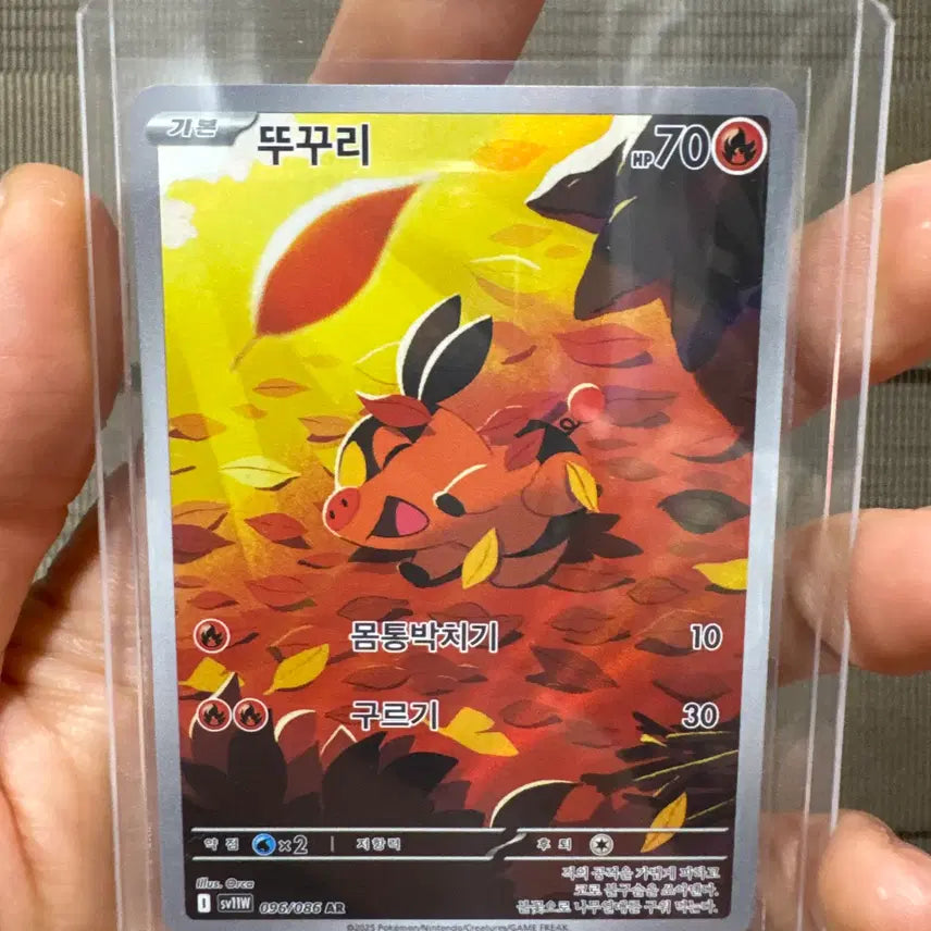 [BUNJANG] AR Ttukkuri Single Card / 뚜꾸리 ar 한판