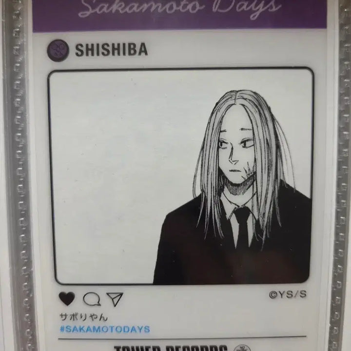 [BUNJANG] Sakagami Days Card Set / 사카모토데이즈 시시바 카드 2장