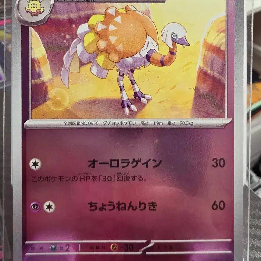 [BUNJANG] Pokemon Card Klesperta PROMO 006/SV-P Japanese / 포켓몬 카드 1진화 클레스퍼트라 PROMO 006/SV-P 일판 프로모