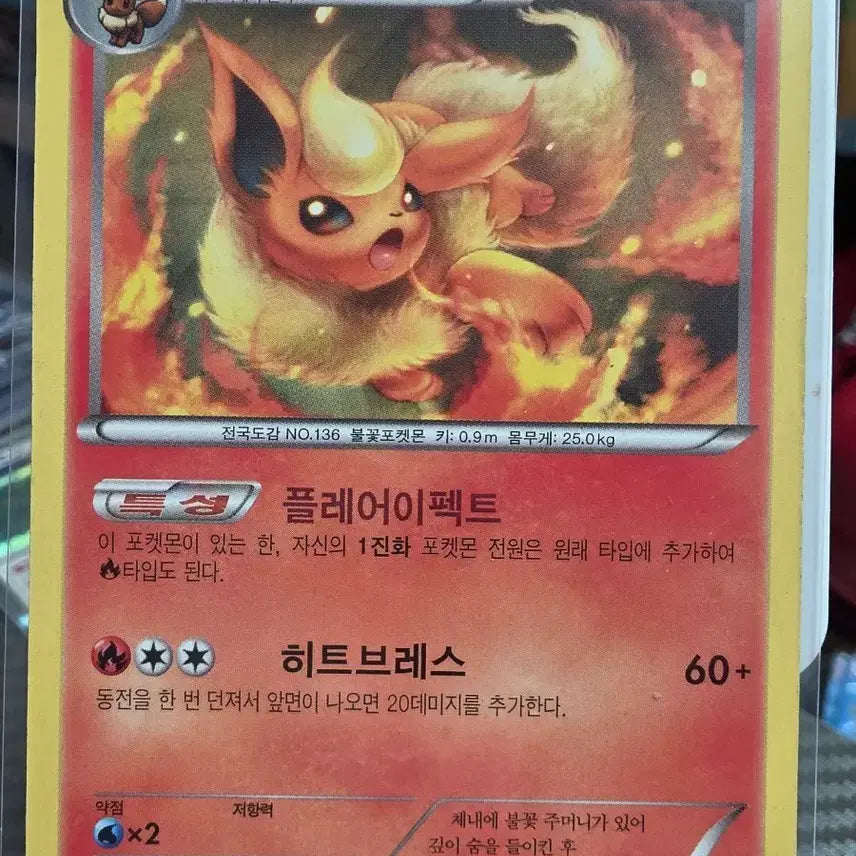 [BUNJANG] Pokemon Card Booster 013/081 / 포켓몬 카드 부스터 013/081