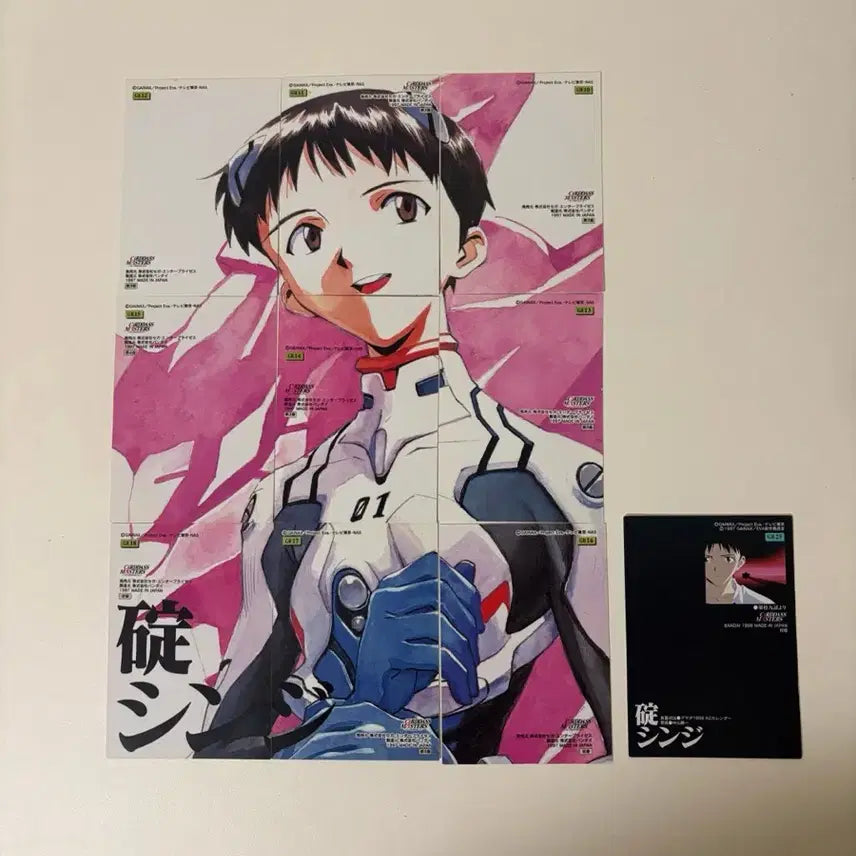 [BUNJANG] Evangelion Shinji Ikari Graffiti Complete Card Bundle Set / 에반게리온 에바 이카리 신지 그래피티 컴플리트 카드 일괄
