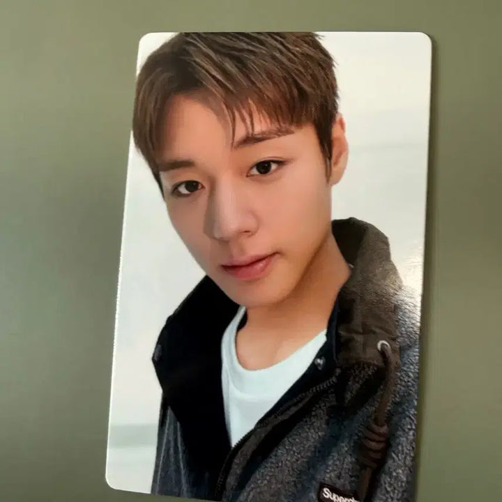 [BUNJANG] Park Ji Hoon Superdry Photocard Set / 박지훈 슈퍼드라이 포토카드 3개 1set