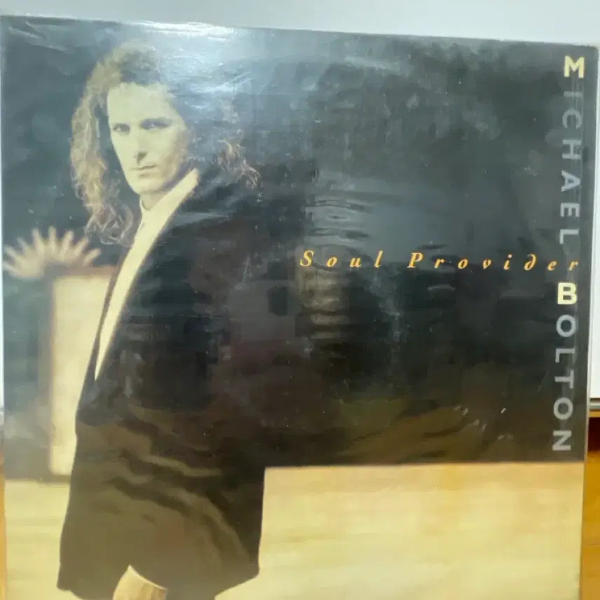 [BUNJANG] Michael Bolton Soul Provider LP / 마이클 볼튼 Soul Provider LP