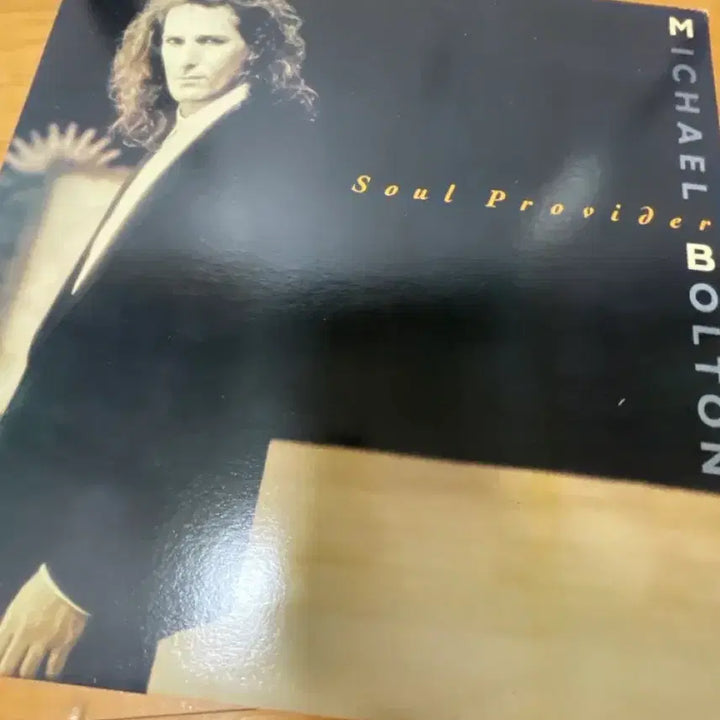 [BUNJANG] Michael Bolton Soul Provider LP / 마이클 볼튼 Soul Provider LP