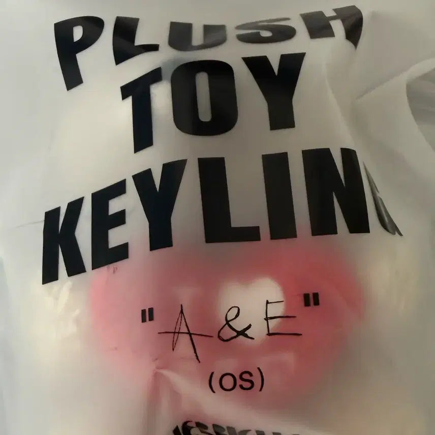 [BUNJANG] Park Hyo Shin AE Keychain / 박효신 AE 키링