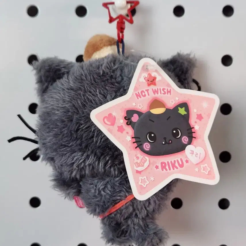[BUNJANG] NCT WISH Wishdol Kuri Riku Doll / 엔시티위시 위시돌 쿠리 리쿠 인형 양도합니다