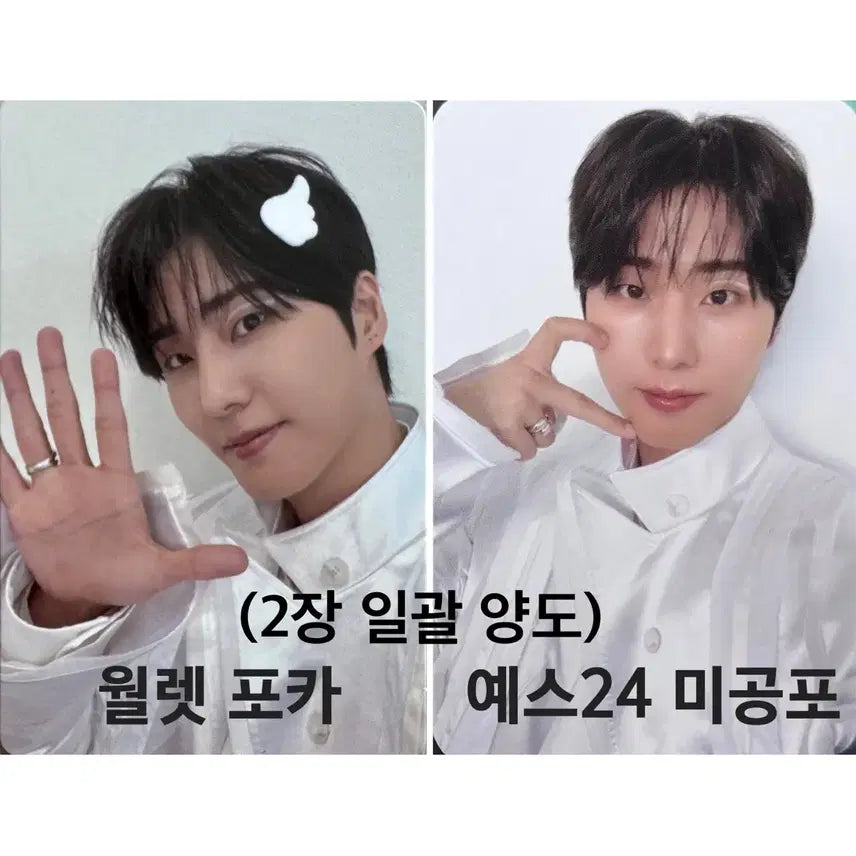 [BUNJANG] Young K Youngest POB Bundle Set Photocard / 영케이 영기스트 포카 천사 예스24 예사 미공포 일괄