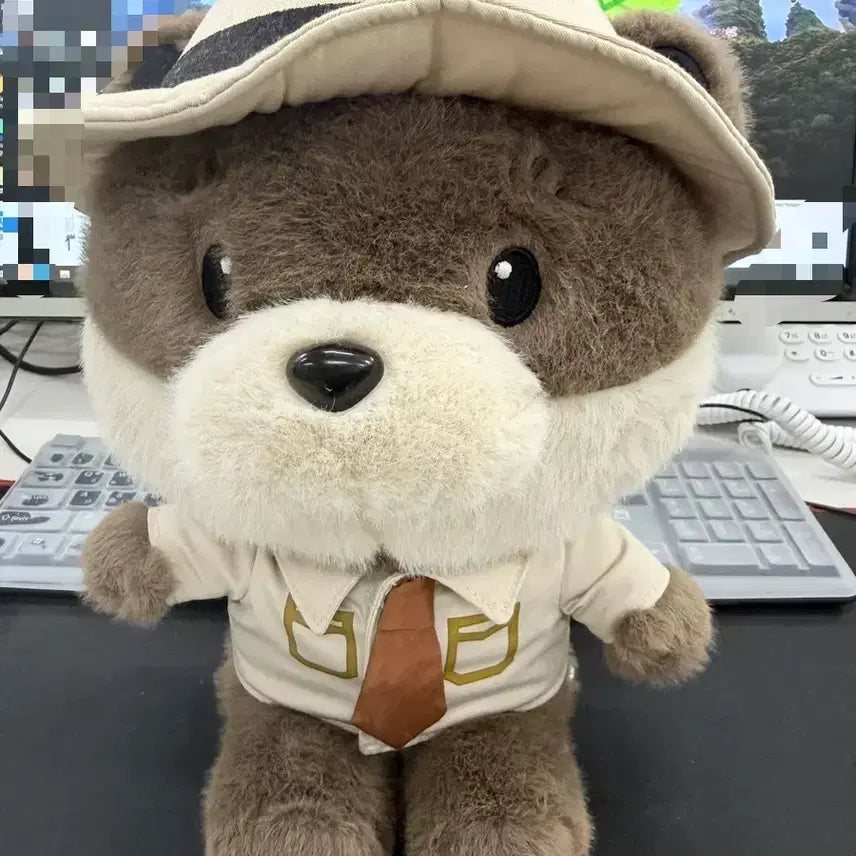 [BUNJANG] National Parks Dal-kong Medium Plush 28cm / 국립공원 달콩이 중형인형 28cm, 국립공원 굿즈