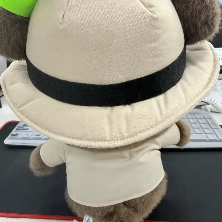 [BUNJANG] National Parks Dal-kong Medium Plush 28cm / 국립공원 달콩이 중형인형 28cm, 국립공원 굿즈