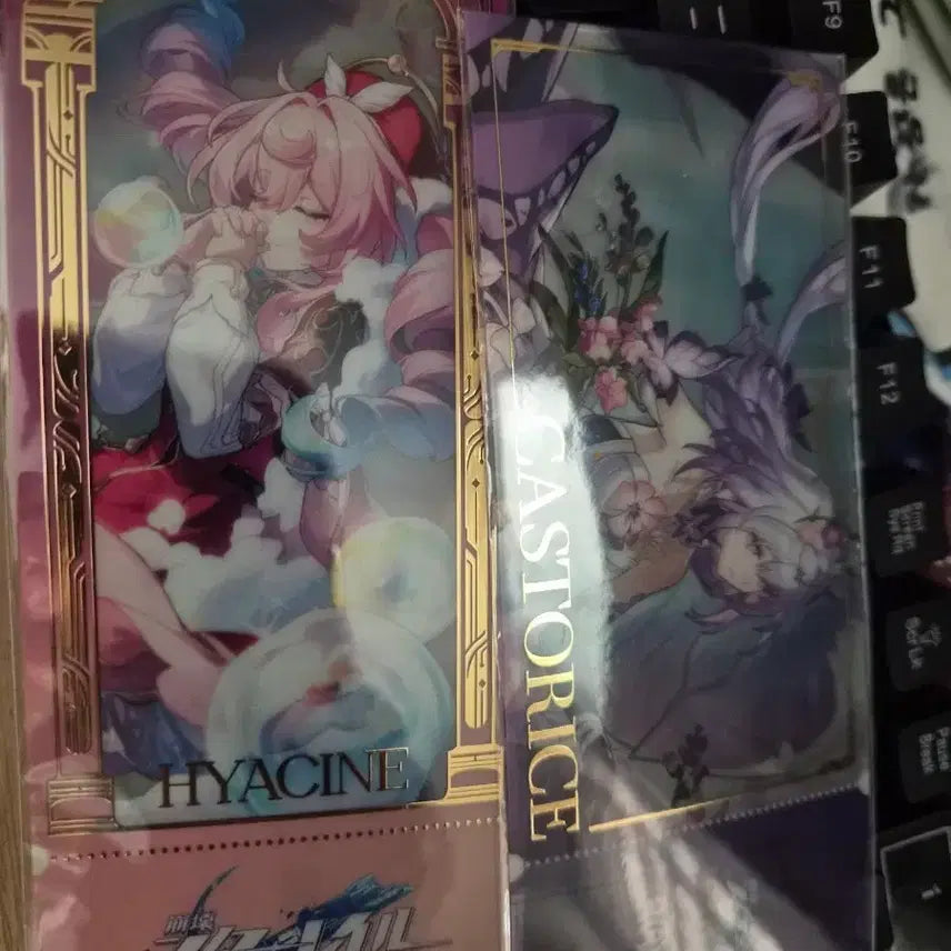 [BUNJANG] Honkai: Star Rail Japan Collaboration Ticket Hyacin Castoris / 붕괴 스타레일 일본 콜라보 티켓 히아킨 카스토리스