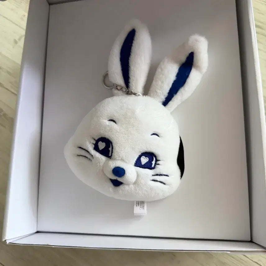 [BUNJANG] NewJeans Bunnies Club 1st Generation Kit / 뉴진스 버니즈 클럽 1기 키트