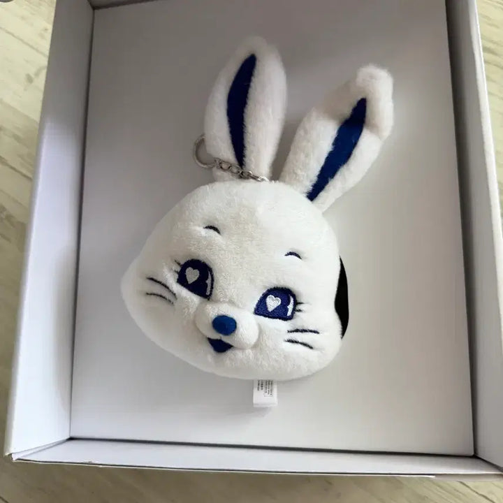 [BUNJANG] NewJeans Bunnies Club 1st Generation Kit / 뉴진스 버니즈 클럽 1기 키트