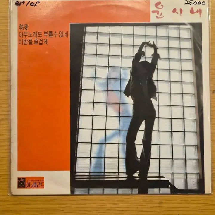 [BUNJANG] Yoon Soo Na LP Record / 윤시내 lp