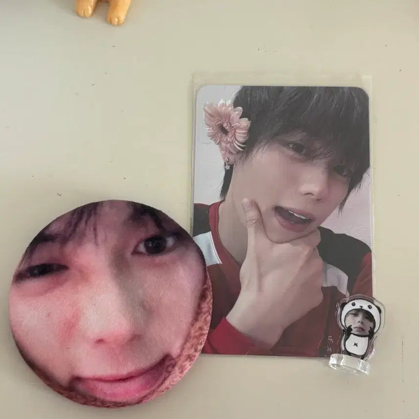 [BUNJANG] Hoon Won Meetge Homelace Photocard Bundle Set / 일괄가격)후한원 밋그 홈레이스 포카 , 비공굿 , 말랑뱃지판매