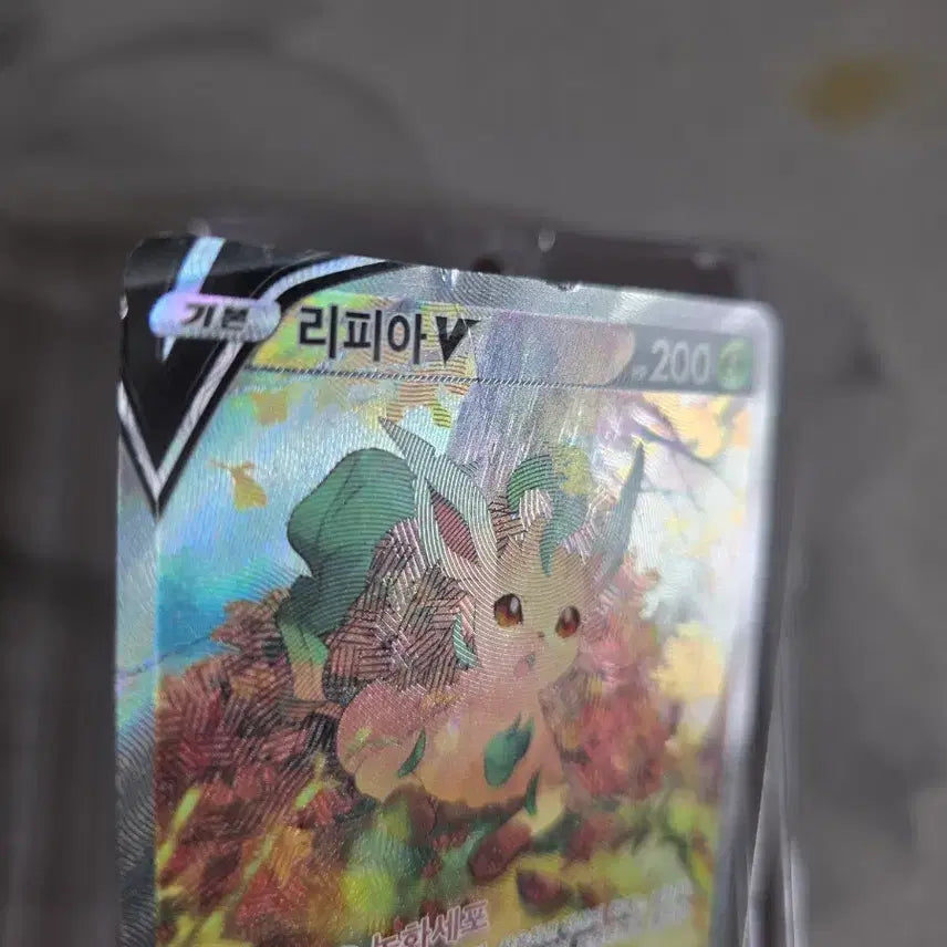 [BUNJANG] Pokemon Card Leafeon Special Edition + Blacky Special Edition (Condition Issues) / 포켓몬카드 상태안좋은 리피아 특일 + 블랙키 특일 팝니다