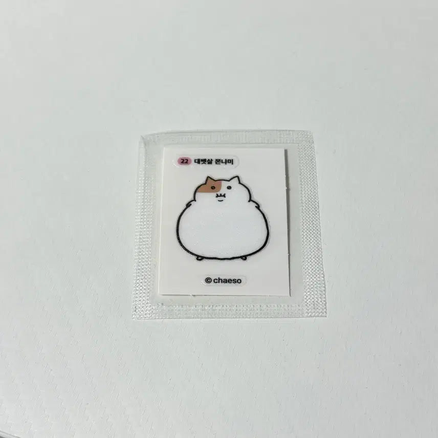 [BUNJANG] Jjonyami Sticker Sheet / 대뱃살 쫀냠이 띠부씰 스티커