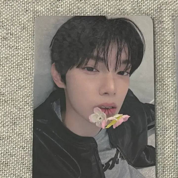 [BUNJANG] FLAREYOU Choi Rip Woo Hello 82 POB Photocard / 플레어유 최립우 헬로82 미공포 판매