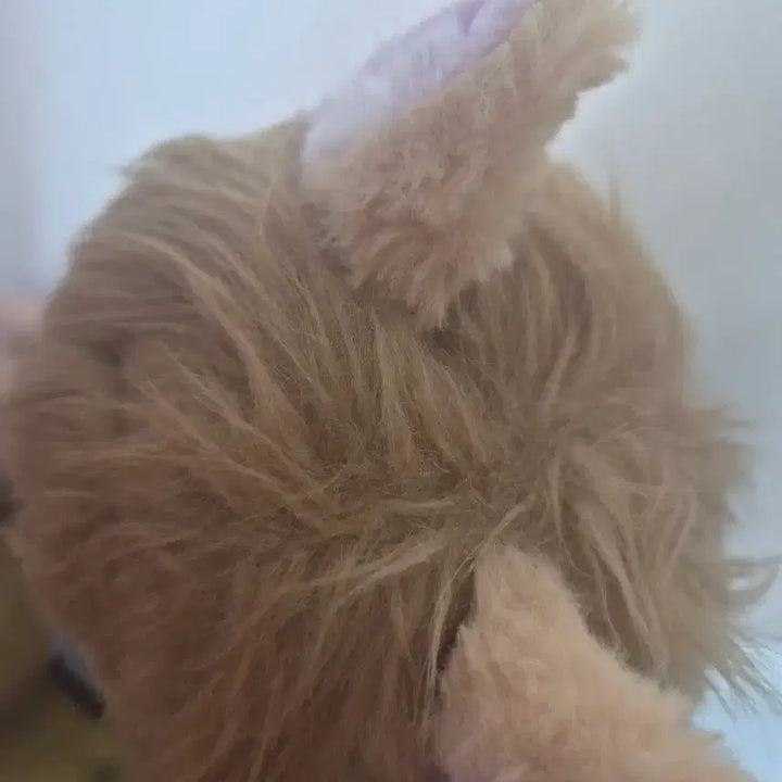 [BUNJANG] Honkai Star Rail Aventurine Plush Doll (Includes Outfit) / (옷포함)붕괴 스타레일 어벤츄린 솜인형 판매