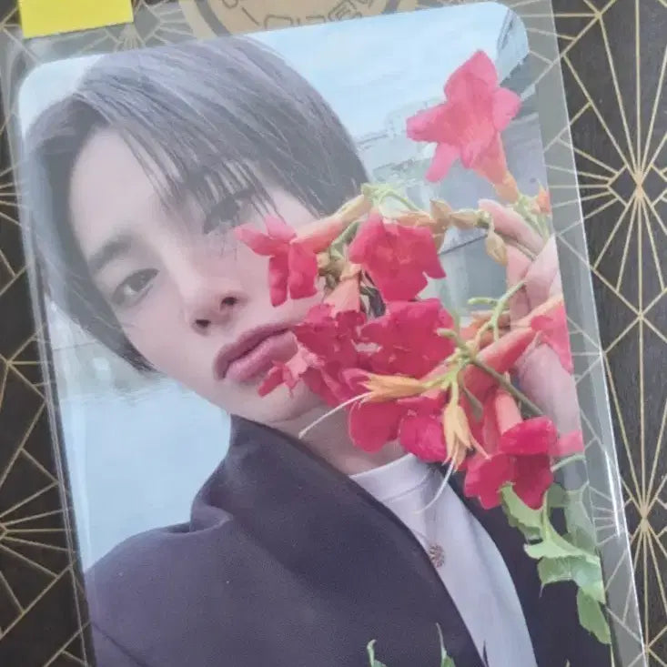 [BUNJANG] Stray Kids I.N Karma Lucky Draw POB Photocard / 스트레이키즈 아이엔 카르마 팝업 3만원 특전