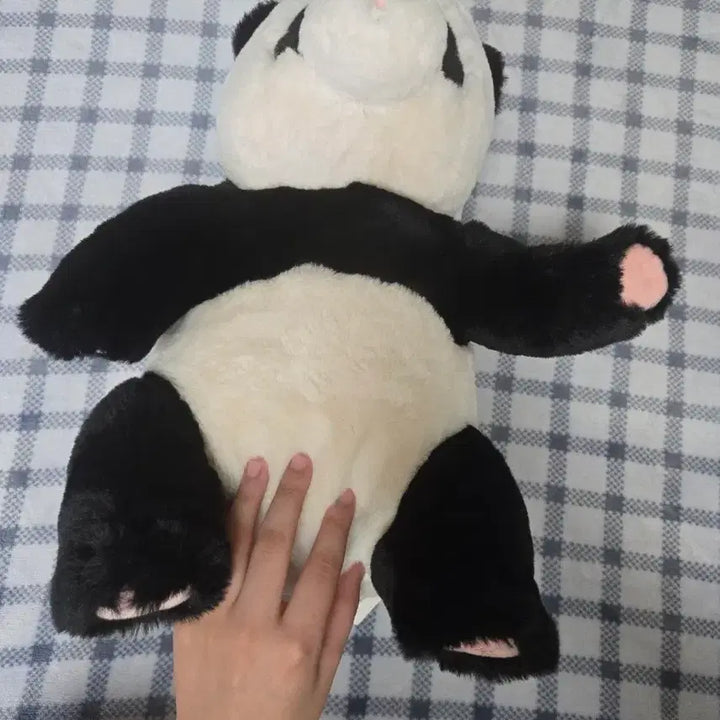 [BUNJANG] Bao Family Fu Bao Doll / 바오패밀리 푸바오 인형 판매합니다 급처