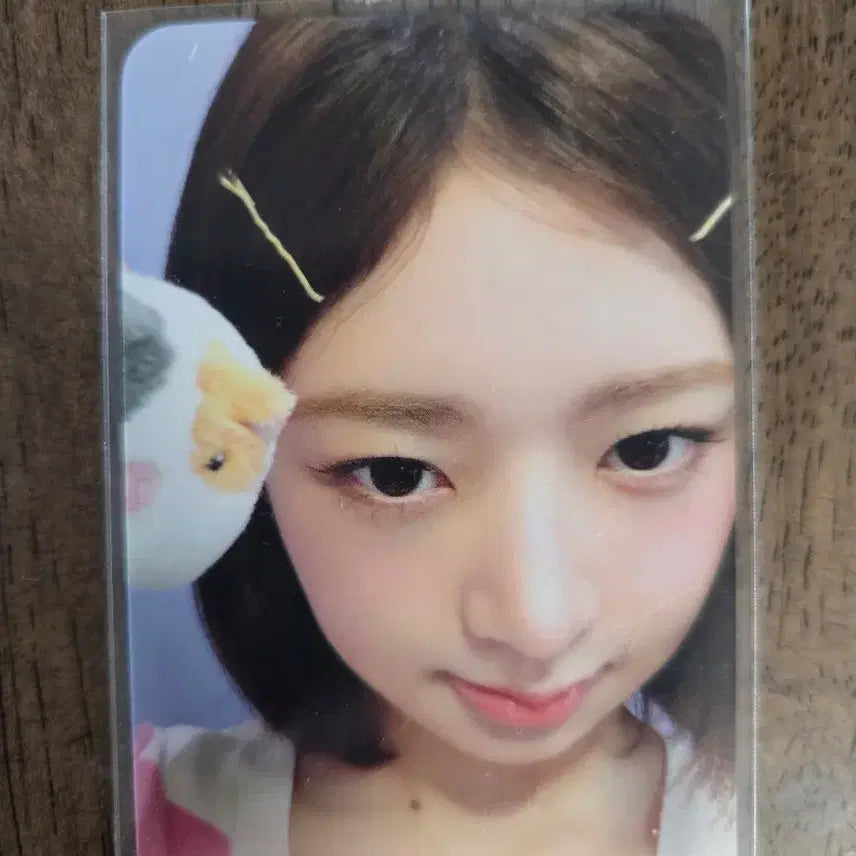 [BUNJANG] IVE Rei Everland Entrance Photocard / 아이브 레이 에버랜드 입장포카