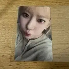 [BUNJANG] LE SSERAFIM Purest of Pure Japan Fanclub Exclusive Sakura Photocard / 르세라핌 퓨어플로우 저팬 팬클럽 특전 사쿠라