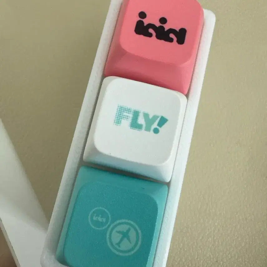 [BUNJANG] Idit Fly Pop-up Keycap Keyring / 아이딧 플라이 팝업 키캡 키링