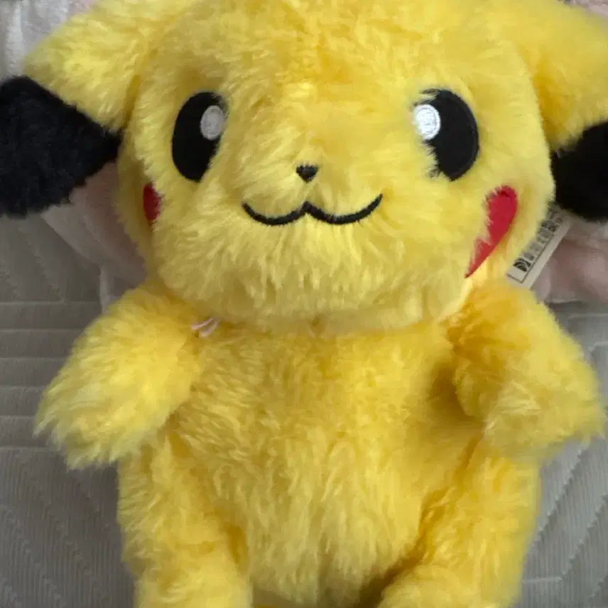 [BUNJANG] Pokemon Pikachu Plush Doll / 포켓몬스터 표코린 피코린 피카츄 인형