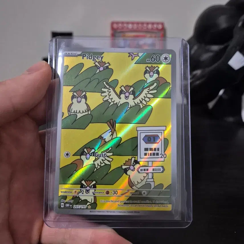 [BUNJANG] Pokemon TCG Pidgey Rare Holo Card 207/197 / 구구 북미
