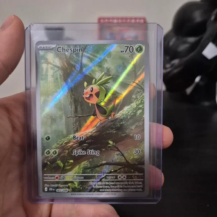 [BUNJANG] Dochimaron North American Edition Rare Pokemon Card / 도치마론 북미