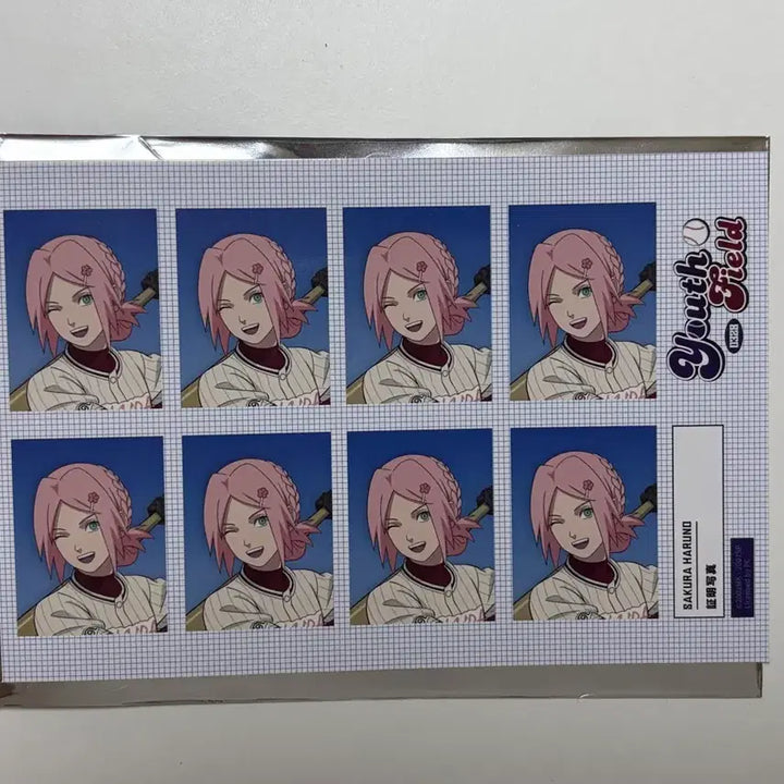 [BUNJANG] Naruto Sakura Youth Field Portrait Photo / 나루토 사쿠라 야구 청춘 유스 필드 증명사진 증사 판매