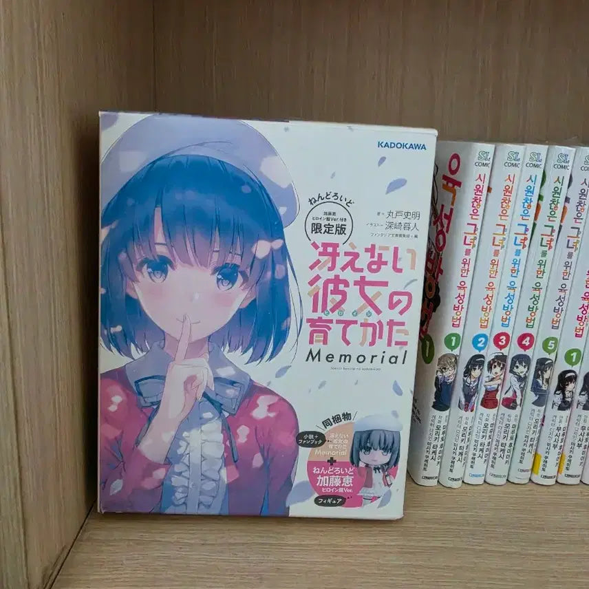 [BUNJANG] Saekano Memorial Limited Edition Nendoroid / 사에카노 메모리얼 한정판 넨드로이드