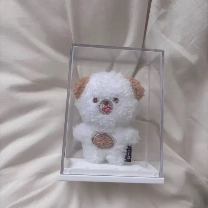 [BUNJANG] DAY6 Magnet Doll Used (Mint Condition, Includes Adoption Certificate) / 마그넷쁘멀 돈 데이식스(사용감X, 입양증 포함,원가이하)