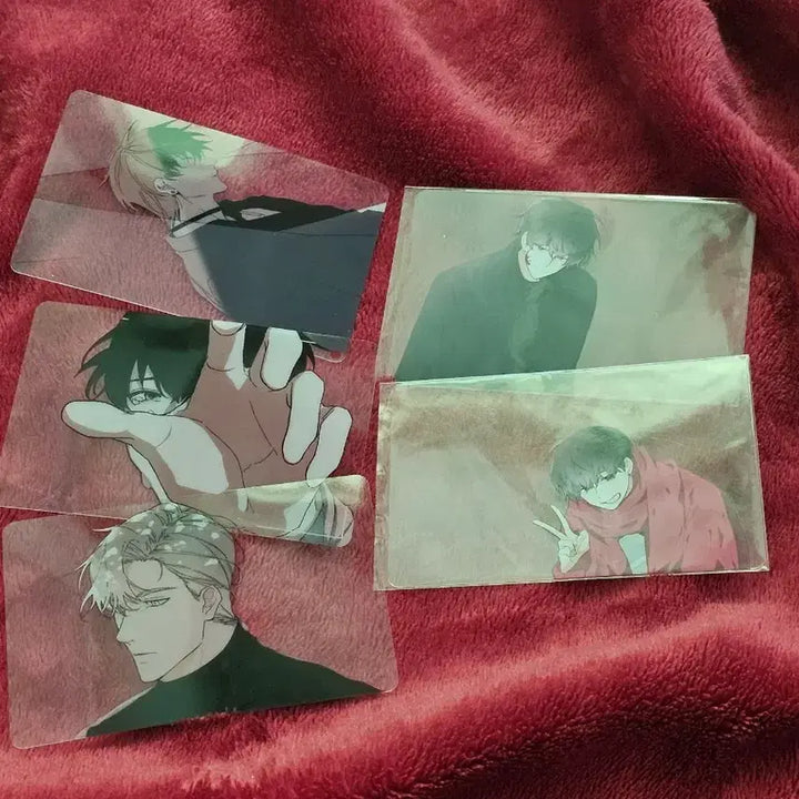 [BUNJANG] Solo Leveling Transparent Photocard Bundle Set / 내스급 투명포카