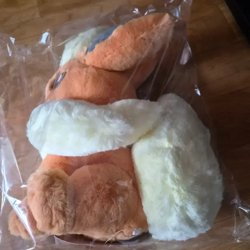 [BUNJANG] Pokemon Official Booster Plush Doll / (새제품)포켓몬 정품 보들보들 후와후와 봉제인형 부스터 인형 이브이