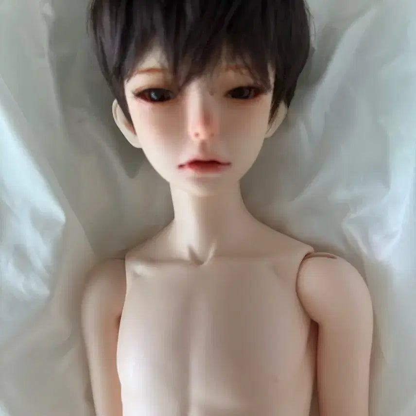 [BUNJANG] Winter Studio Yoo Young Apricot Skin Ball-jointed Doll / 겨울비스튜디오 유영