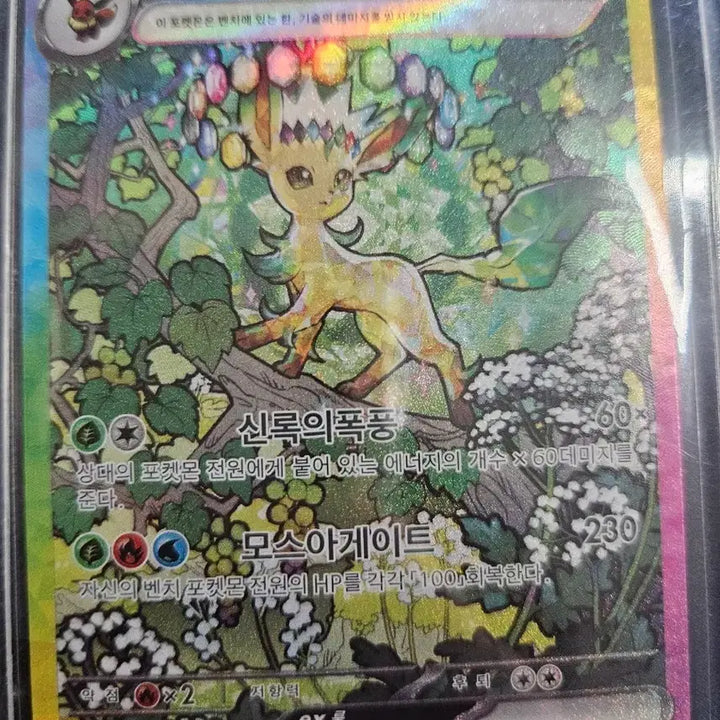 [BUNJANG] Pokemon Card Leafeon SAR / 포켓몬카드 리피아 SAR 한판 팝니다