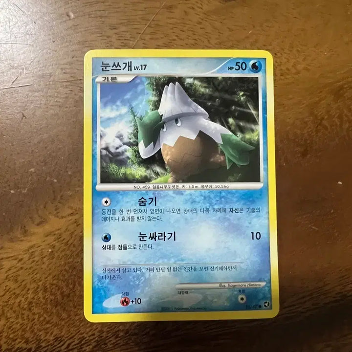 [BUNJANG] Pokemon Card Ancient Card Snow Hat / 포켓몬카드 고대카드 눈쓰개