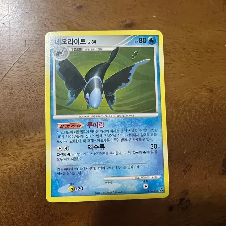 [BUNJANG] Pokemon Card Ancient Card Neo Light / 포켓몬카드 고대카드 네오라이트