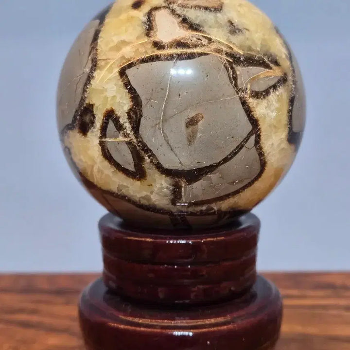[BUNJANG] Black Scepterian Turtle Shell Stone / 26080519 좋은 기운을 내뿜는 블랙셉터리안 귀갑석 구가공석 광물 수석 팝니다