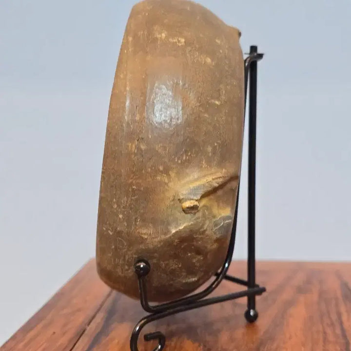 [BUNJANG] Chinese Gu-Jap Stone Scholar Stone - Sunflower / 26080520 한송이 해바라기처럼 활짝  핀 중국 구갑석 수석 팝니다