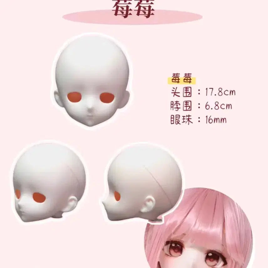 [BUNJANG] MSD Mei Mei Head (Unpainted, White Skin) / msd 구체관절인형 헤드(미백)