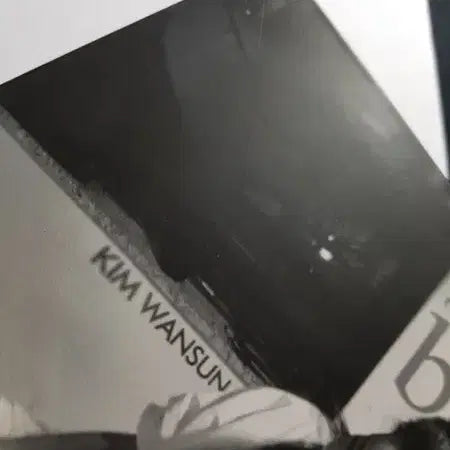 [BUNJANG] Kim Wan Sun The Beer EP CD / 김완선 - The Beer [EP] 씨디