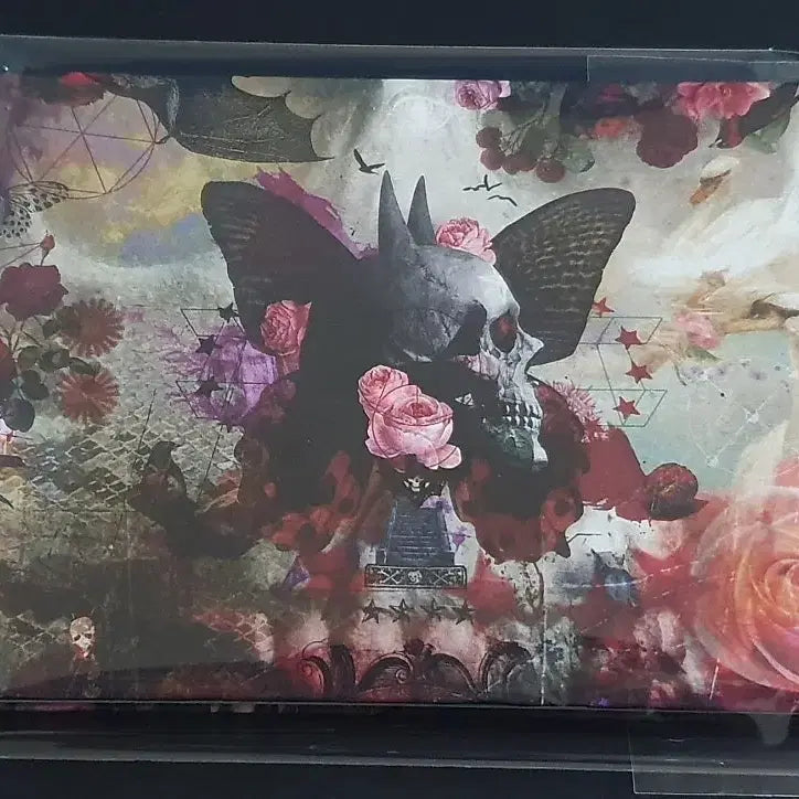 [BUNJANG] Sads Kiyoharu FALLING Ultimate Edition CD+DVD Limited Edition / 쿠로유메 키요하루 SADS 사즈 앨범 FALLING(CD+DVD) 한정반