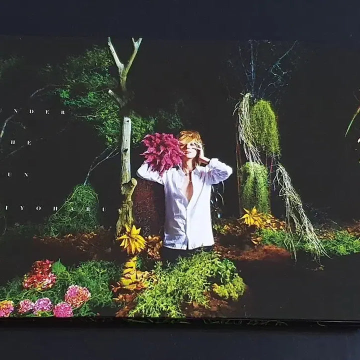[BUNJANG] Kiyoharu UNDER THE SUN Limited Edition CD+DVD / 키요하루 앨범 UNDER THE SUN (CD+DVD) 한정반 쿠로유메