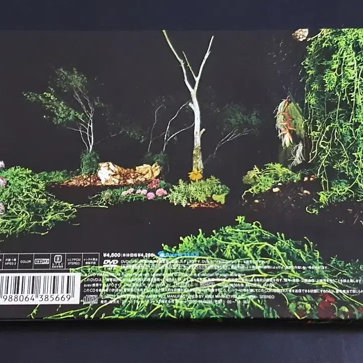 [BUNJANG] Kiyoharu UNDER THE SUN Limited Edition CD+DVD / 키요하루 앨범 UNDER THE SUN (CD+DVD) 한정반 쿠로유메
