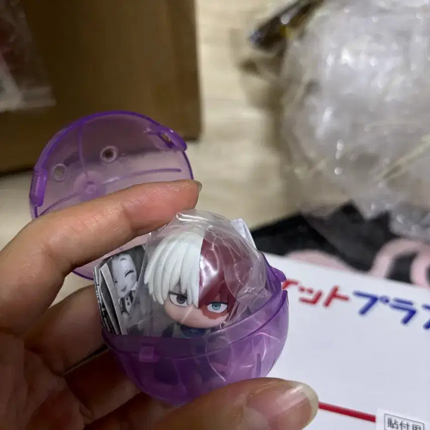 [BUNJANG] My Hero Academia Chokonoko Set (Includes Shoto Gacha) / 나의히어로아카데미아 초코노코(쇼토가챠 증정드림)