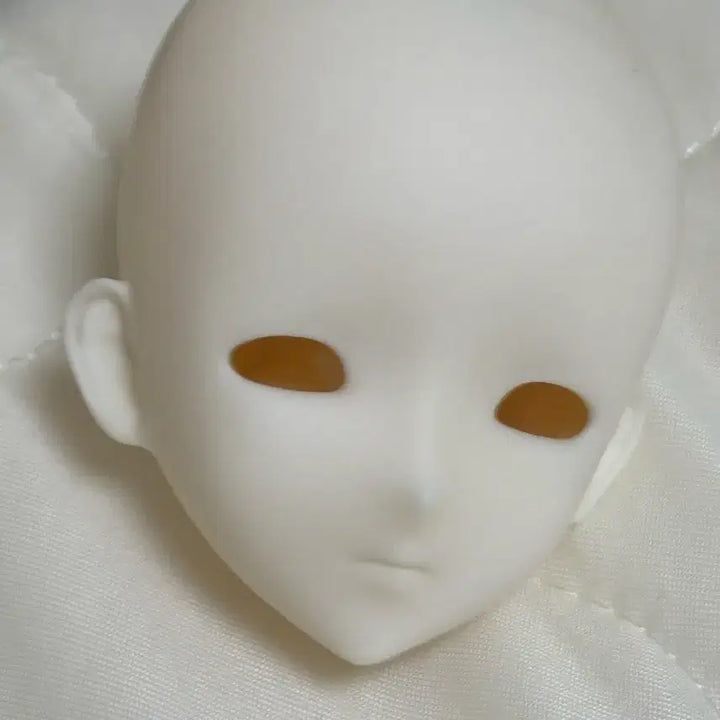[BUNJANG] ZMOEDoll MSD No Makeup Head / 구관 msd 노메이크업 zmoedoll 헤드 양도합니다