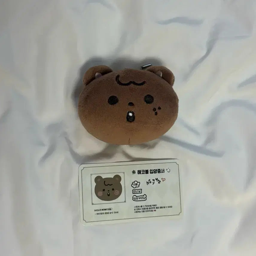 [BUNJANG] NCT Dream 127 Haechan Doll Hae-ko-bol / 엔시티 드림 127 해찬 인형 해코볼
