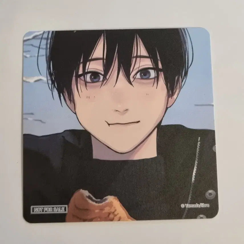 [BUNJANG] Tashiro You&